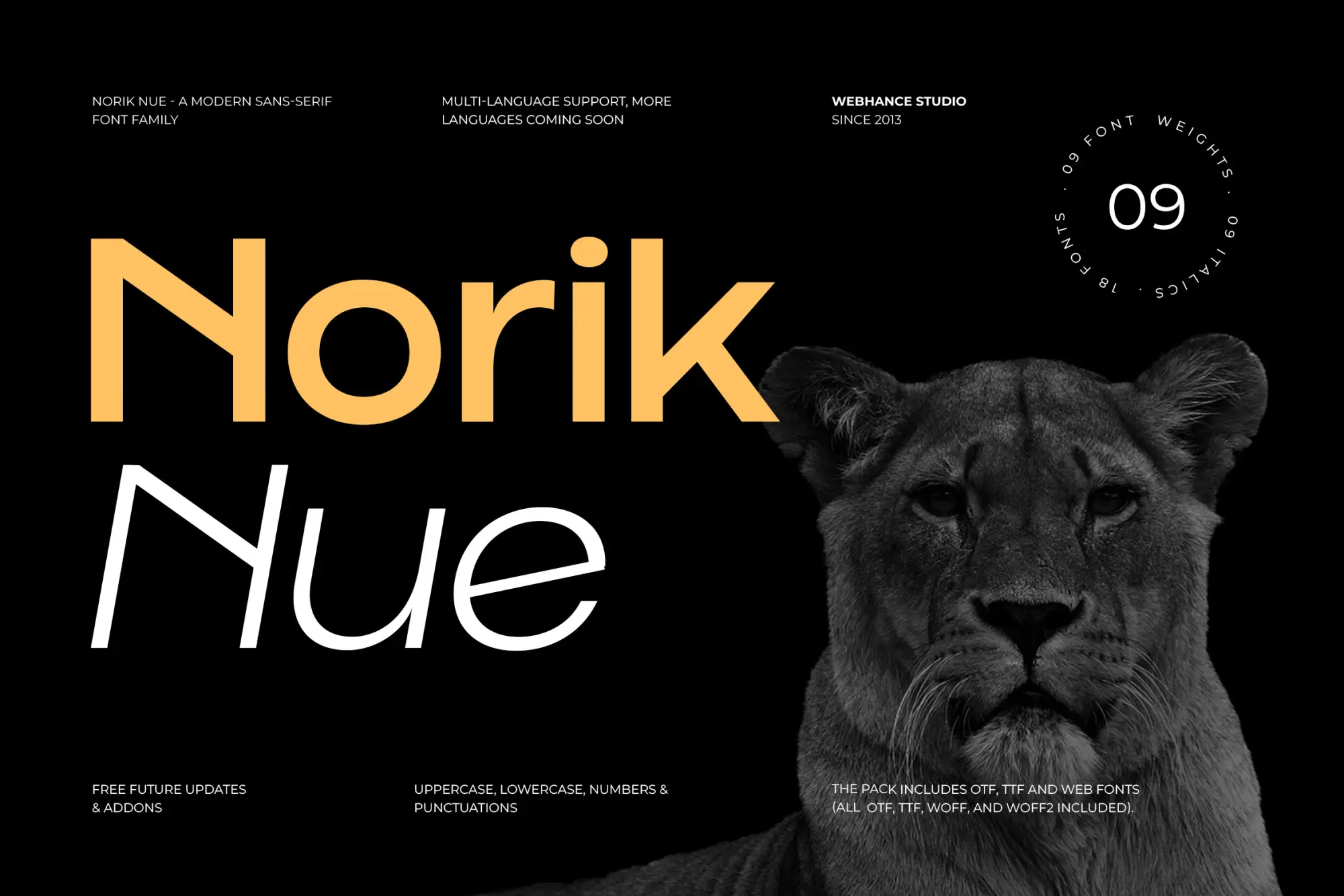 Norik Nue hero image